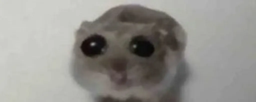 Capa do perfil de aefemboy