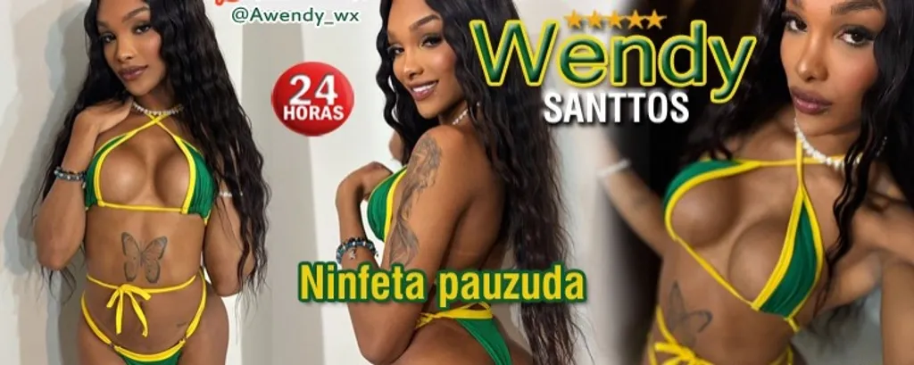 Capa do perfil de Wendy Santtos