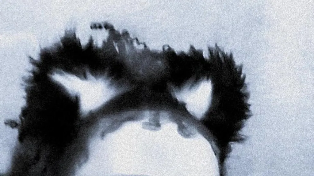 Capa do perfil de Saturno