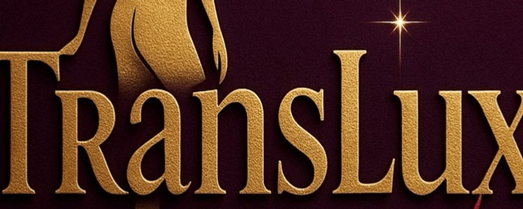 Capa do perfil de TRANSLUX