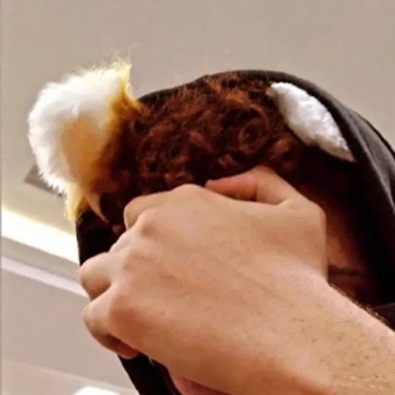Foto de perfil de Rafa