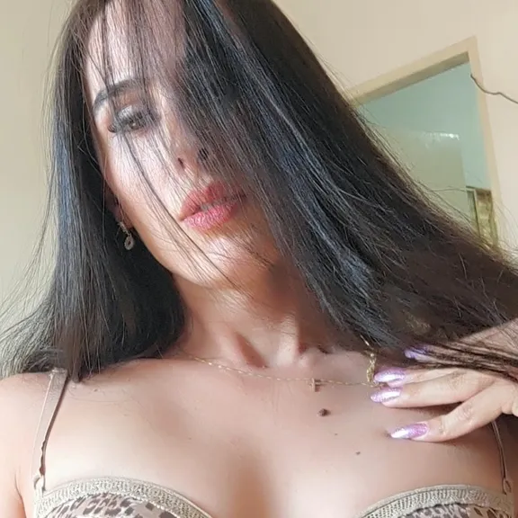 Foto de perfil de TRANSLUX